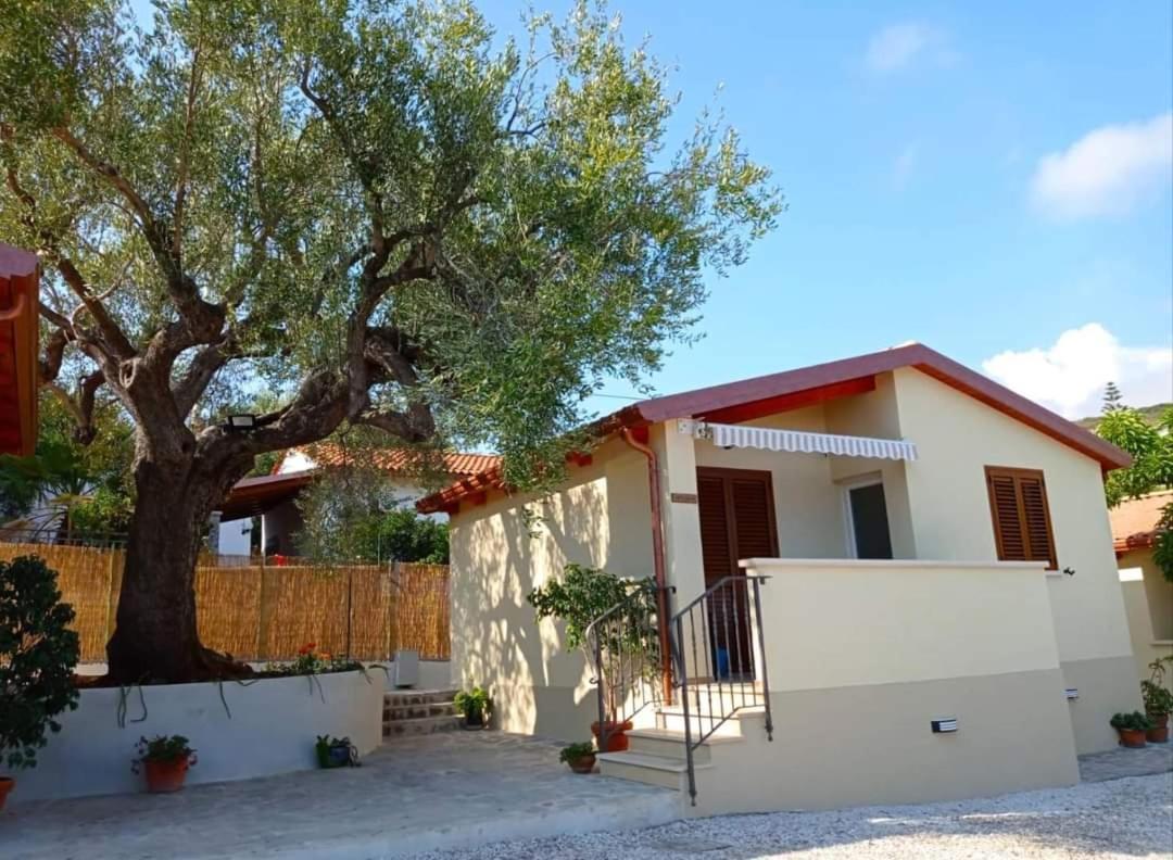 Case Vacanze La Quercia Marina di Camerota Eksteriør billede