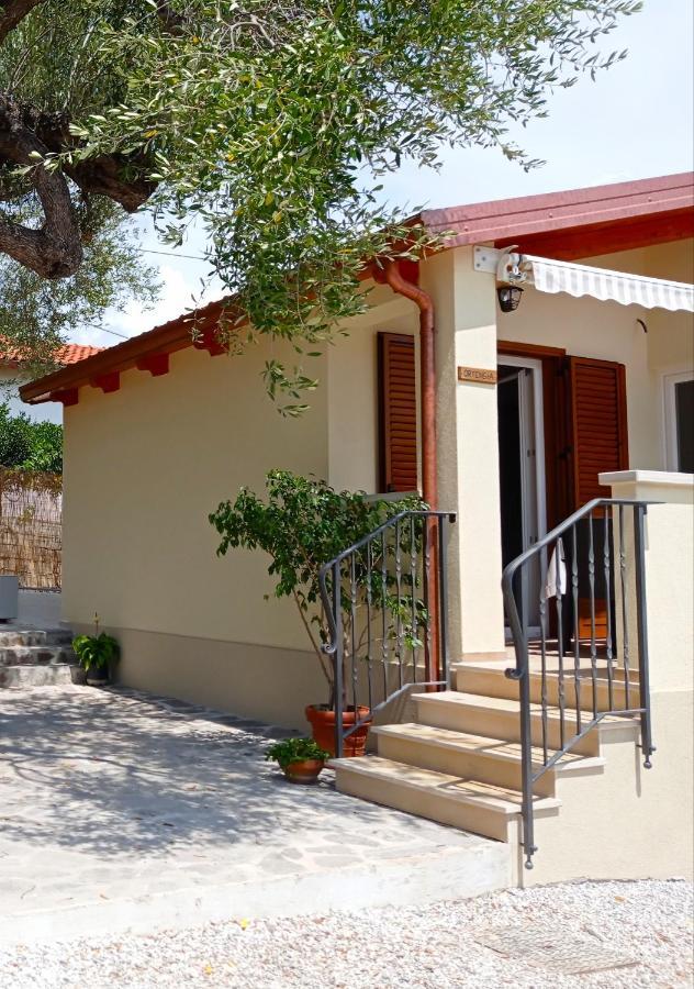 Case Vacanze La Quercia Marina di Camerota Eksteriør billede