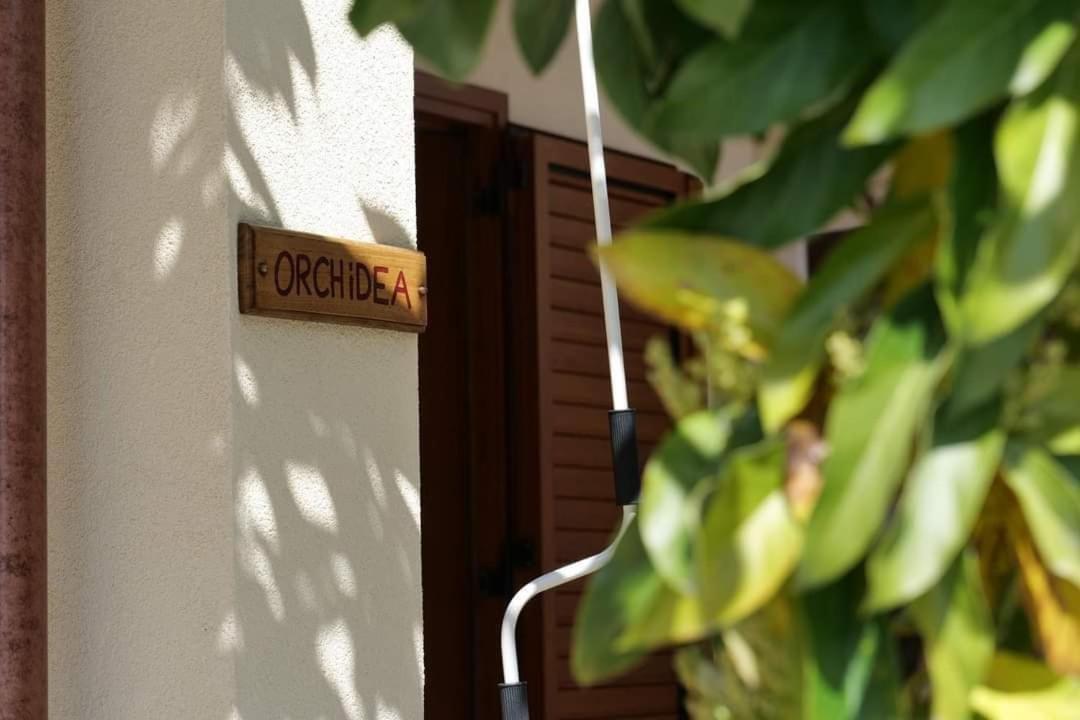 Case Vacanze La Quercia Marina di Camerota Eksteriør billede