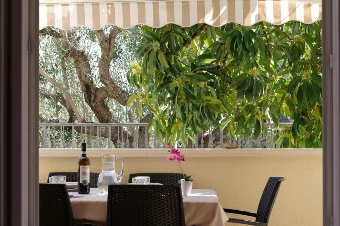 Case Vacanze La Quercia Marina di Camerota Eksteriør billede